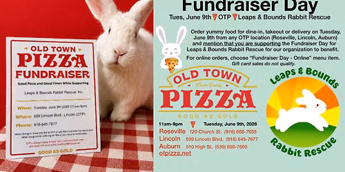 Old Town Pizza Fundraiser! Roseville