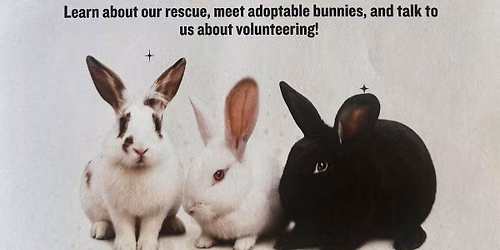 Bunnies and Brews Adoption Event at Maker's Craft Brewery