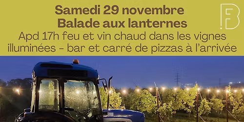 Balade aux lanternes dans les vignes de Beaufays remplies d'illumination
