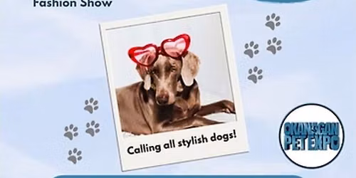 Project Puppy Runway Fashion Show