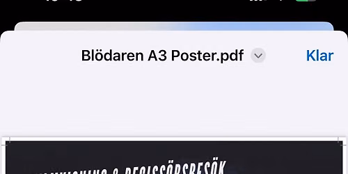 Bl\u00f6daren - Filmvisning & Q&A 