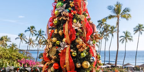 Christmas Morning Oceanfront Brunch Buffet