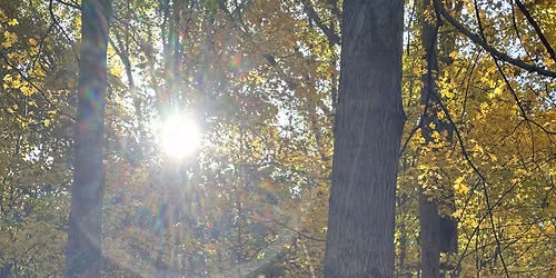The Magic of Samhain Spirit Walk on Nov. 1st