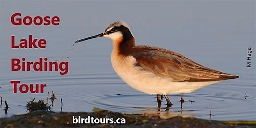 Goose Lake Birding Tour