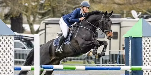 Show Jumping Training Day