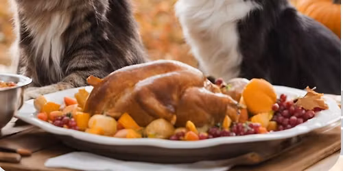 Bosco\u2019s Marketplace-Petsgiving 2025