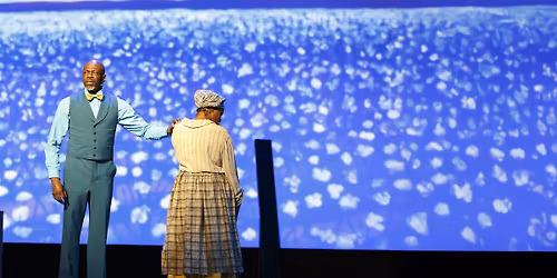 Finding Freedom: The Journey of Robert Smalls 