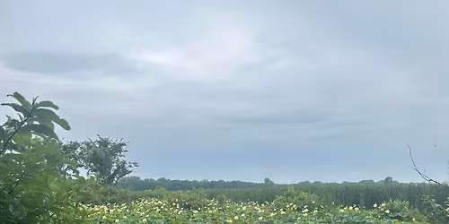 Kansas Consciousness Conference