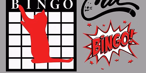 Cat Bingo!