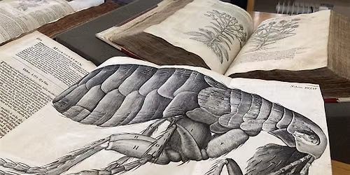 500 Years of Science in Print (Thursday, 4pm)