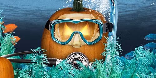 Haunted Reef Halloween Party