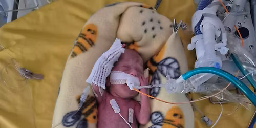 Myrtle Marie Scott - Trivia Fundraiser