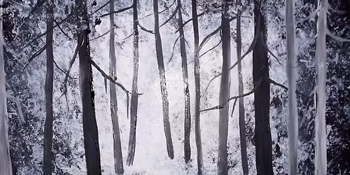 Paint and Sip Night - Redditch.  Uk's no 1 painting experience, everything provided. free drink.