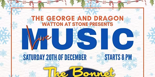 The Bonnet live band