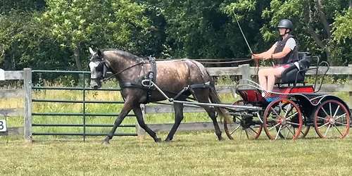 Central Ohio Carriage Driving Schooling Event #1