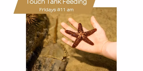 Touch Tank Feeding