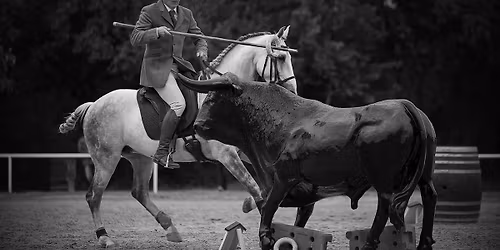 ROLF JANZEN CLINICS 2025