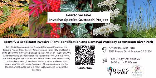 Identify & Eradicate! Invasive Plant Identification and Removal Workday