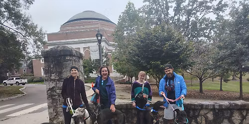 Durham Greyhound Walk