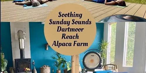 Soothing Sunday Sounds