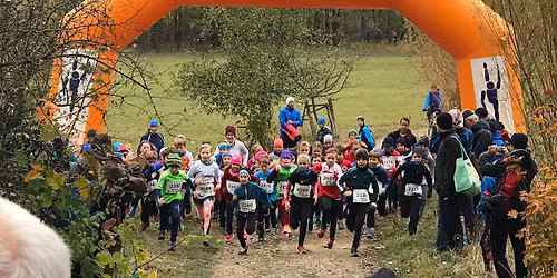 69. Herbstwaldlauf des Skiklubs Dresden-Niedersedlitz und Hofewiese-TRAIL