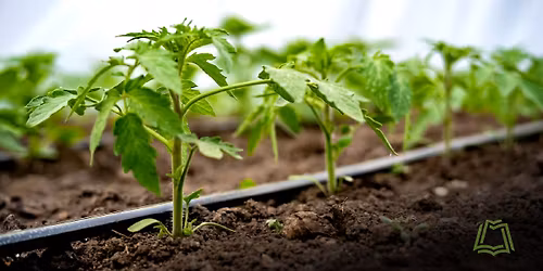 Drip Irrigation: Is it time to rethink your irrigation strategy?