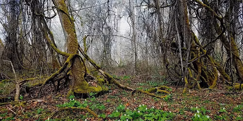 Open Lands Day at the Rogue River Preserve