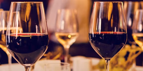 Holiday Wine Sale \ud83c\udf77