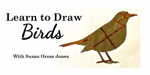 Drawing Birds Made Fun and Easy