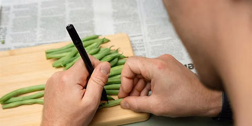 Punk Peas Harfest