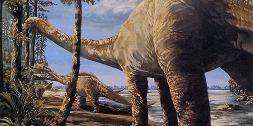 All About Texas Dinosaurs