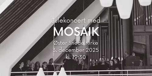 Akustisk julekoncert | Mosaik | \u00d8ster Snede Kirke