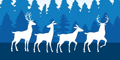 Kersthappening Tiegem 2025