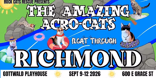 The Amazing Acro-Cats