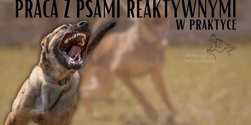 Seminarium praca z psem reaktywnym w praktyce! OhBelgOn X Blade on Fire