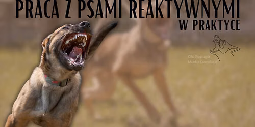 Seminarium praca z psem reaktywnym w praktyce! OhBelgOn X Blade on Fire