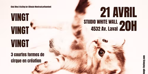 VINGT, VINGT, VINGT, 3 courtes formes de cirque de cr\u00e9ation