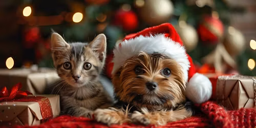 2025 Christmas Tour of Homes