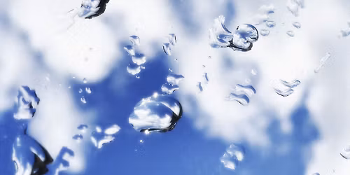 Fernisering: 'Vi spejler os i ord'