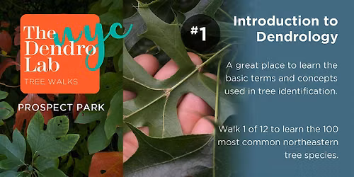 Intro to Dendro (Tree Identification) \u2013 1-3pm