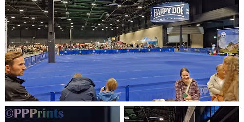 Dogdance Wedstrijd in de erering tijdens Dogshow Maastricht