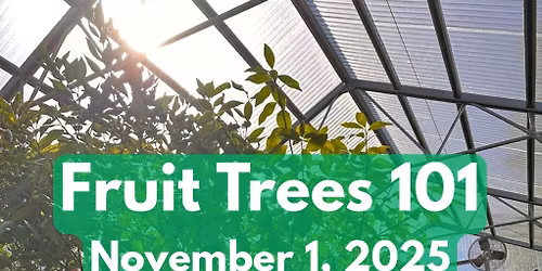 Fruit Trees 101