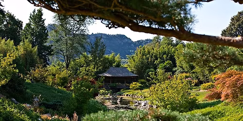 Bambouseraie d'Anduze