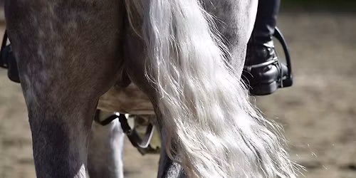 Saddle Ridge Riding Center