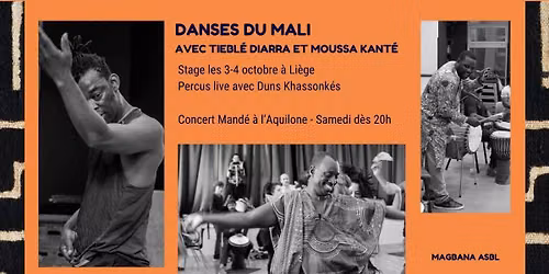 Stage de danses du Mali