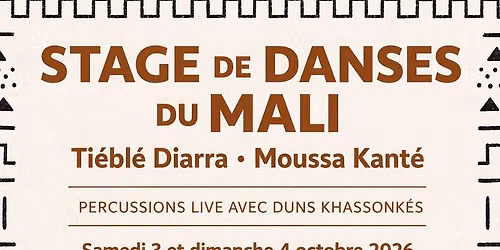 Stage de danses du Mali