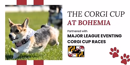 The Corgi Cup at Bohemia