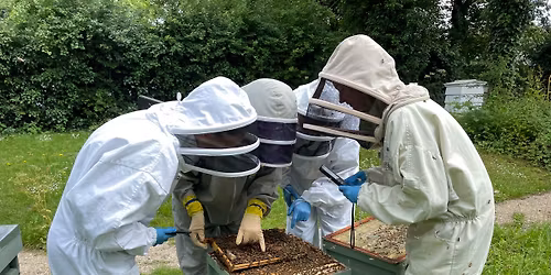 EBKA Beekeeping Experience Day 2026 May 17th