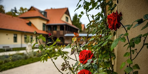 Any\u00e1k napi k\u00f6sz\u00f6nt\u0151 \u2013 \u201e\u00c9desany\u00e1m sok sz\u00e9p szava\u201d Lov\u00e1sz Ir\u00e9n \u00e9s Mirtse Zsuzsa m\u0171sora