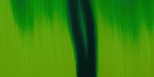 LVSO sezono pabaigos koncertas: L. Vilkon\u010dius. Roko opera \u201eEgl\u0117\u201c